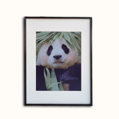 13.3-Inch Wi-Fi Color E-Paper Photo Frame